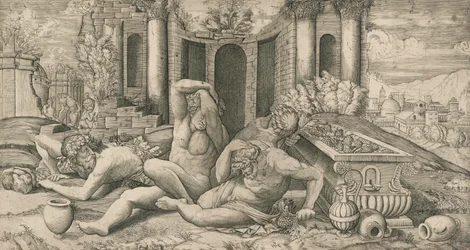 The Effects of Wine