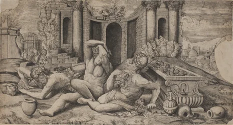 The Wine Harvest