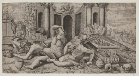 The Wine Harvest