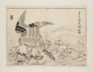 Falcon and small bird in waves