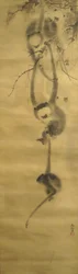 Five Monkeys