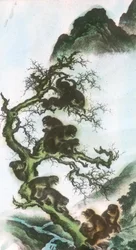 Monkeys on a Limb