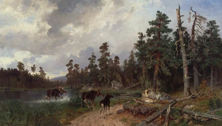 Moose and Hunters in Pine Tree Forest