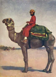 A Camel Rider from Kota, 1903