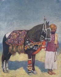 A Horse from Jodhpur
