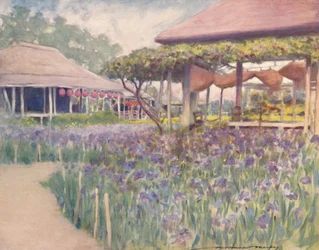 An Iris Garden, 1903