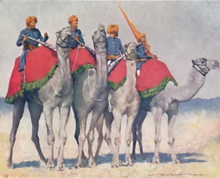 Camelry from Alwar