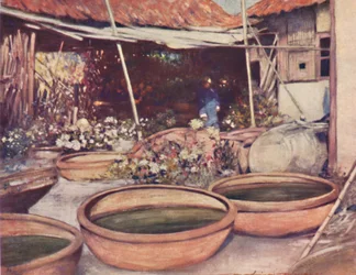 Nursery Garden