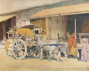 A Bullock-cart, Ajmere, 1905