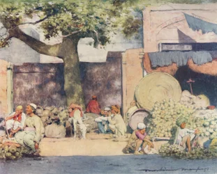 Fruit Stalls at Delhi