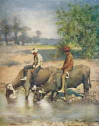 Leisure Hours