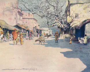 Mid-day, Jeypore, 1905