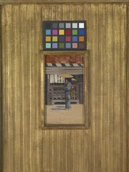 The Parasol