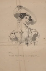 The Flower of Cambria, litho by C.G. Childs