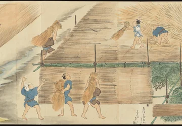 Illustrations of Uji Tea Production