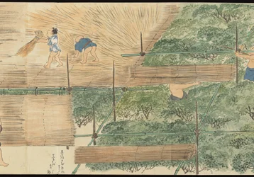 Illustrations of Uji Tea Production