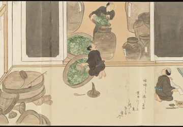 Illustrations of Uji Tea Production