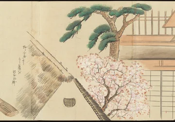 Illustrations of Uji Tea Production