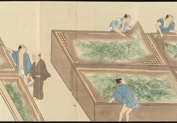 Illustrations of Uji Tea Production