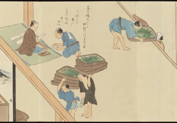 Illustrations of Uji Tea Production