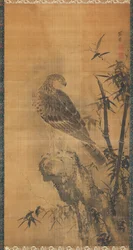 Hawk on a rock