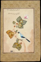 A Bird on a Hazel Branch