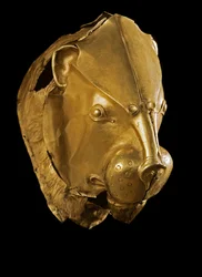 Gold Lion