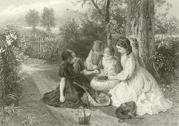 A Feast of Cherries