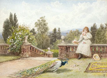 The Terrace