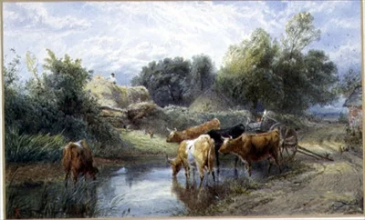Watering Time
