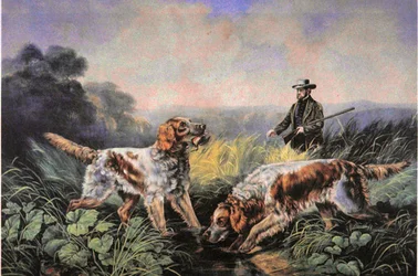 American Field Sports: Retrieving