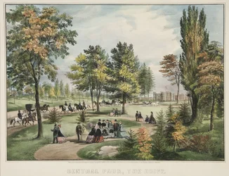 Central Park - The Drive