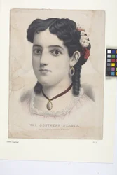 The Southern Beauty