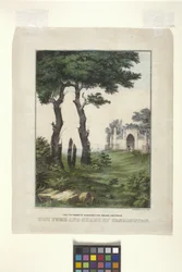 The Tomb And Shade Of Washington