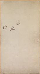 Puppies, Sparrows and Chrysanthemums