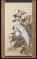 Pheasants, Rock and Flowers