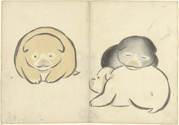 Three Young Puppies