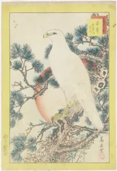 No. 1, White Falcon and Five-Needled Pine, 1859