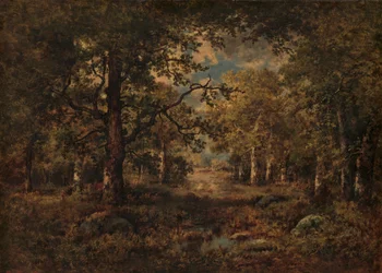 A Vista through Trees: Fontainebleau
