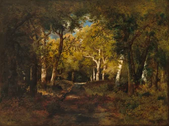 In the Forest, 1874
