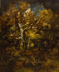 Forest of Fontainebleau, Autumn