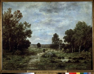 Autumn in Fontainebleau