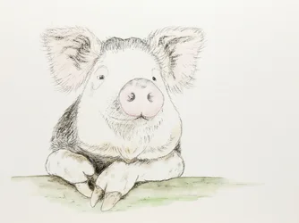 Cute Watercolor Pig