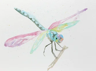 Dragonflies on a Branch in Pastel Colors