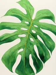 Tropical Monstera Leaf