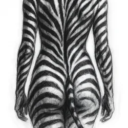 Zebra Striped Figure