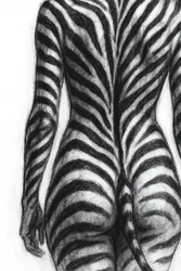 Zebra Striped Form