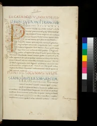 Ms 394.1. Pliny the Elder, Historia Naturalis, f.1r. Illuminated Initial [P] with White Vine-Stem Decoration (unfinished), Naples, mid 15th century, c.1442