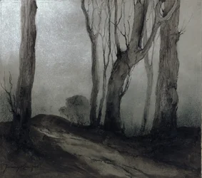 Shades of Night