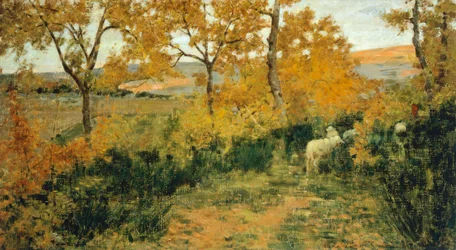 Golden Forest in Montemiccioli